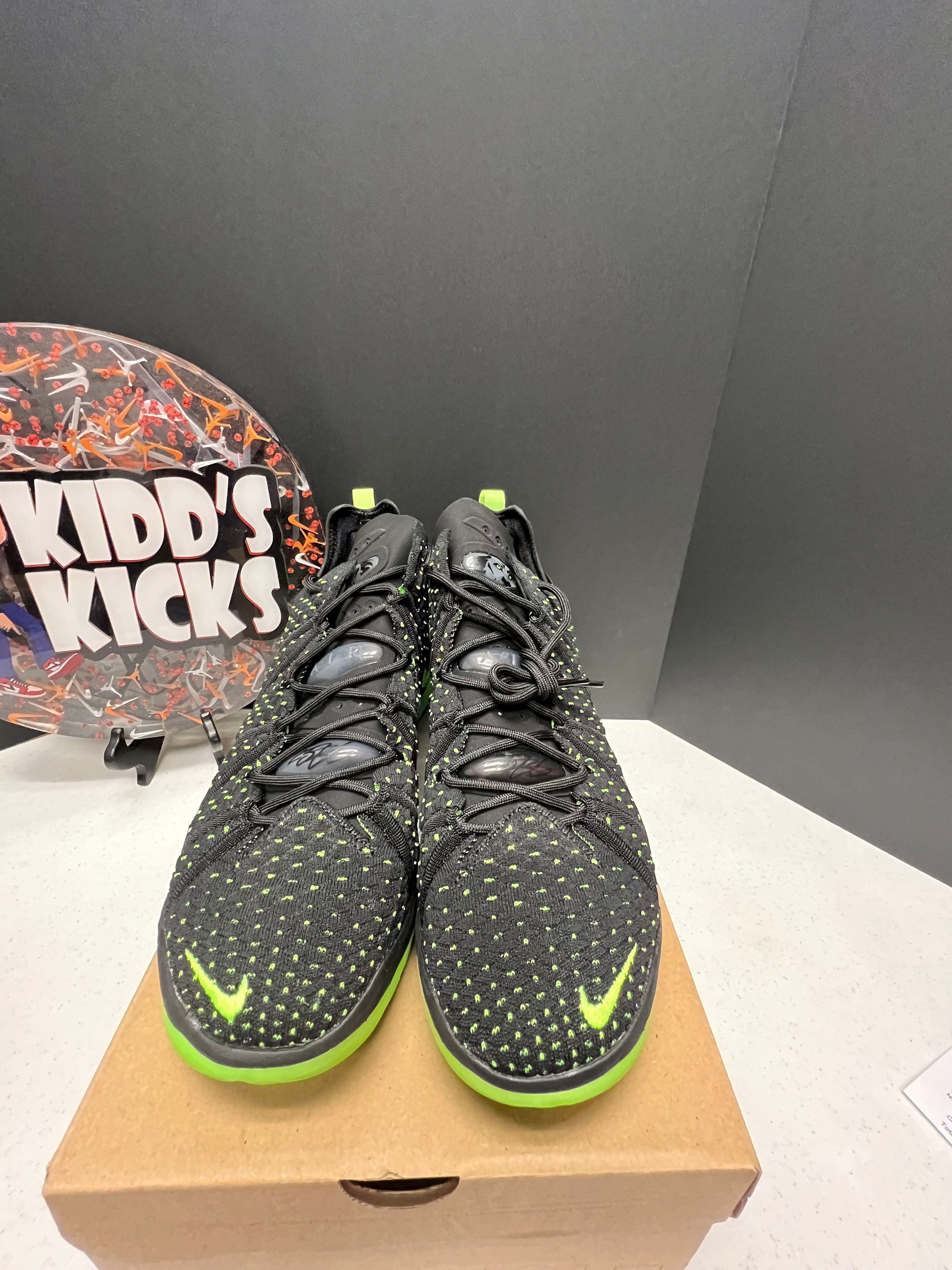 Nike LeBron 18 Dunkman